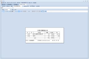 物流 erp管理系统中的报表开发与维护模式