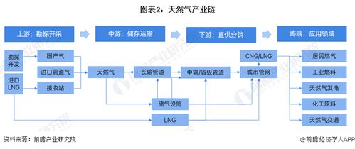 中国科学院院士戴金星 我国将于2025年迎来天然气时代,跻身年产量2500亿立方米级天然气大国