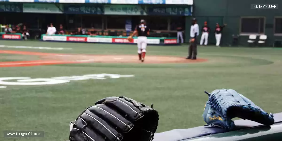 🏀 挑战极限，每一球都值得欢呼！